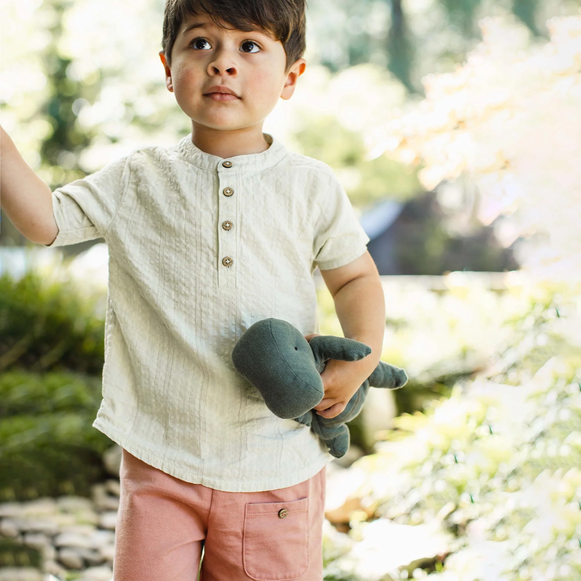 Seersucker Boy Shirt & Shorts Set - Image 2