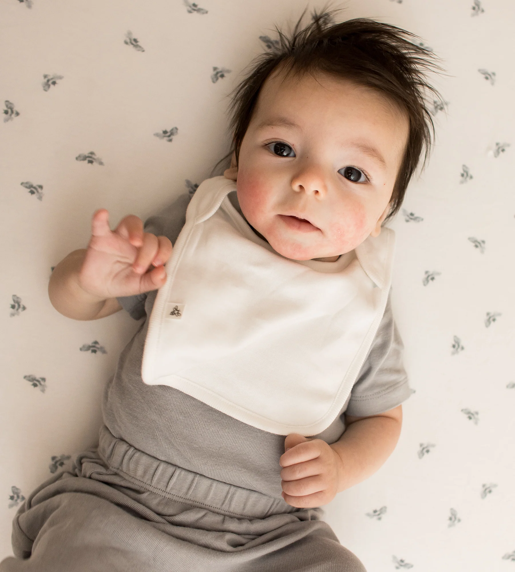 Solid Organic Cotton Baby Bibs 5 Pack - Midnight - Image 2