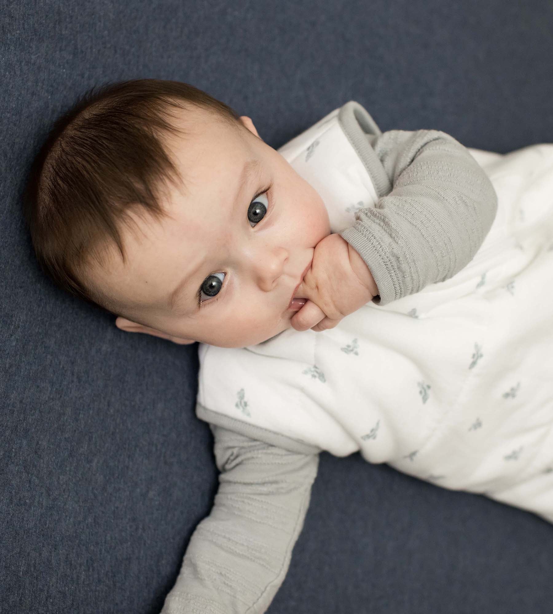Solid Organic Cotton BEESNUGĀ® Fitted Crib Sheet - Nightfall - Image 2
