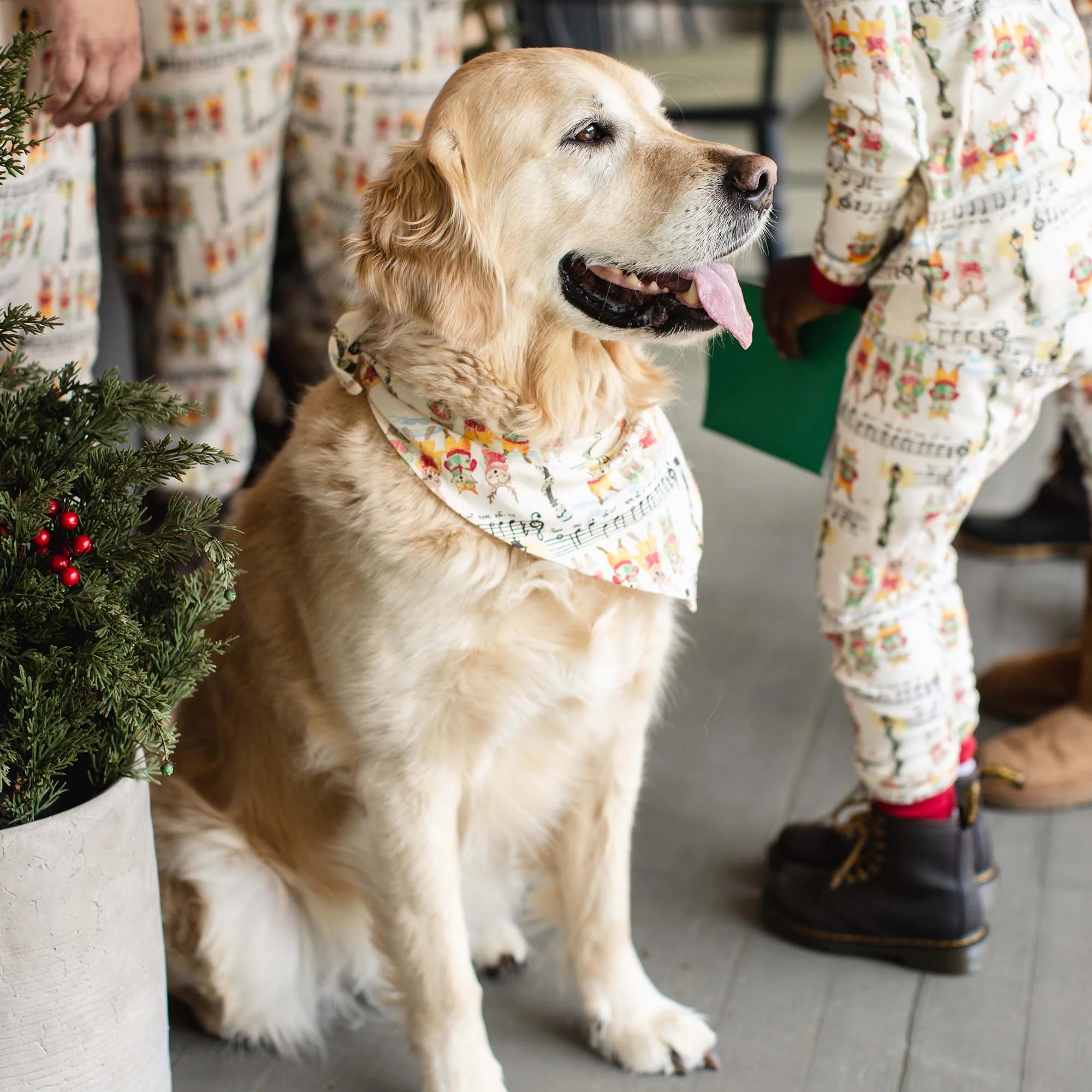 Sweet Carolers Matching Family Pajamas - Image 8